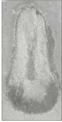 jkacd-28-232-g005.jpg