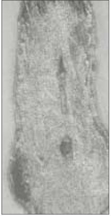 jkacd-28-232-g006.jpg