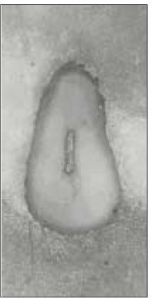 jkacd-28-232-g009.jpg
