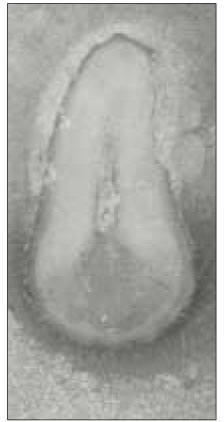 jkacd-28-232-g010.jpg