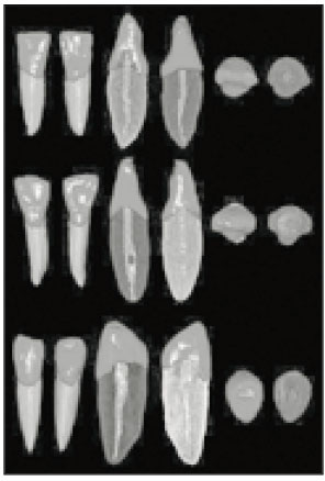 jkacd-28-485-g004.jpg