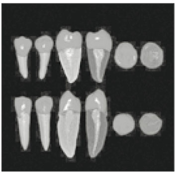 jkacd-28-485-g005.jpg