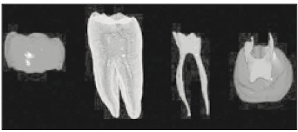 jkacd-28-485-g007.jpg