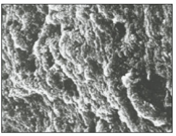 jkacd-28-50-g001.jpg