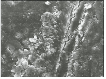 jkacd-28-50-g004.jpg