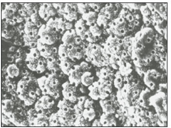 jkacd-28-50-g006.jpg