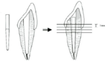 jkacd-28-80-g001.jpg