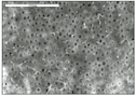 jkacd-28-80-g009.jpg