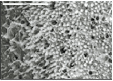 jkacd-28-80-g015.jpg