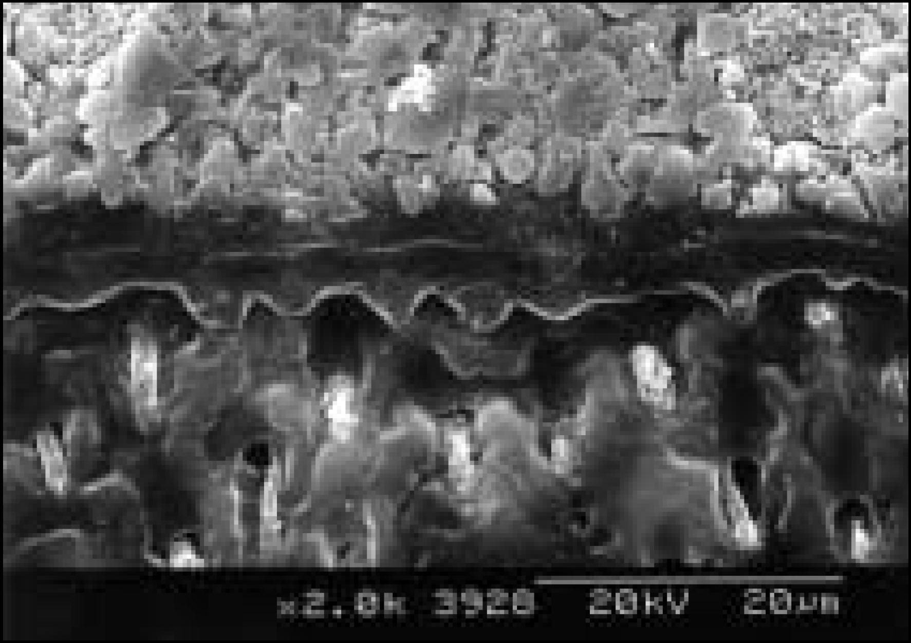 jkacd-29-1f5b.jpg