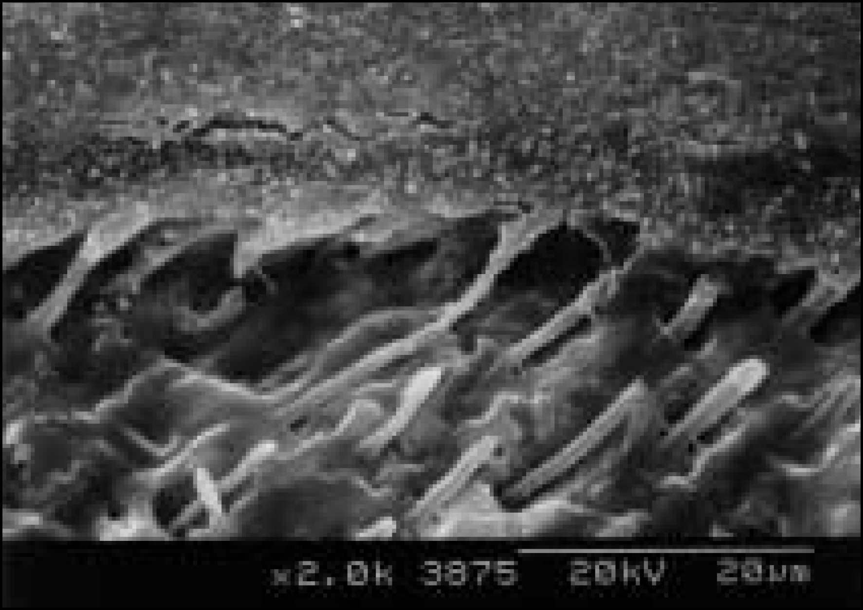jkacd-29-1f6a.jpg