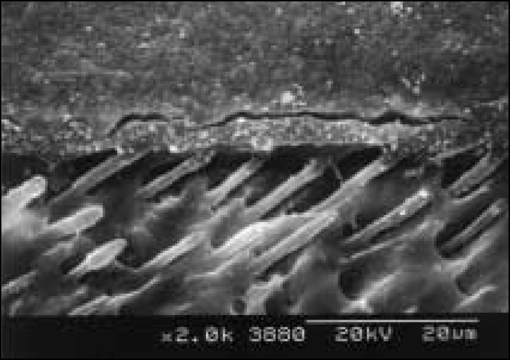 jkacd-29-1f7a.jpg