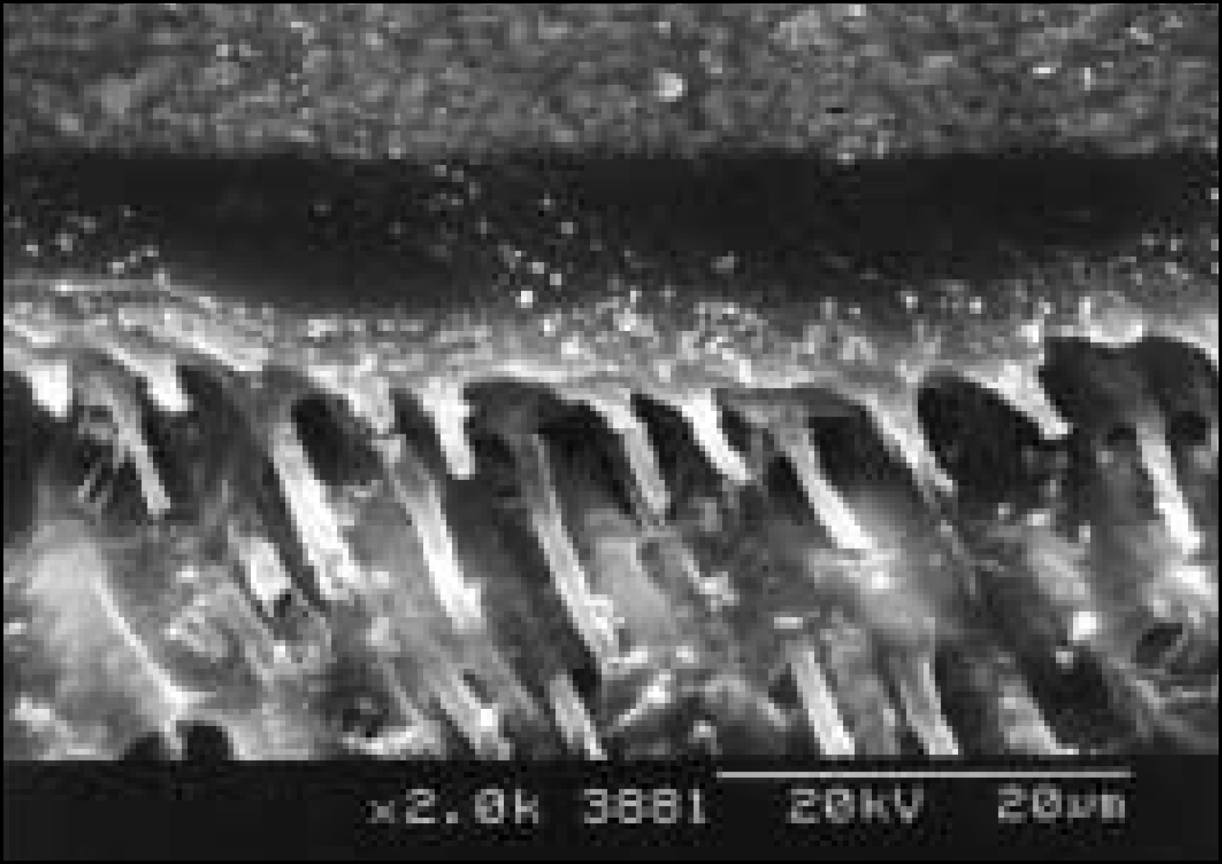 jkacd-29-1f7b.jpg