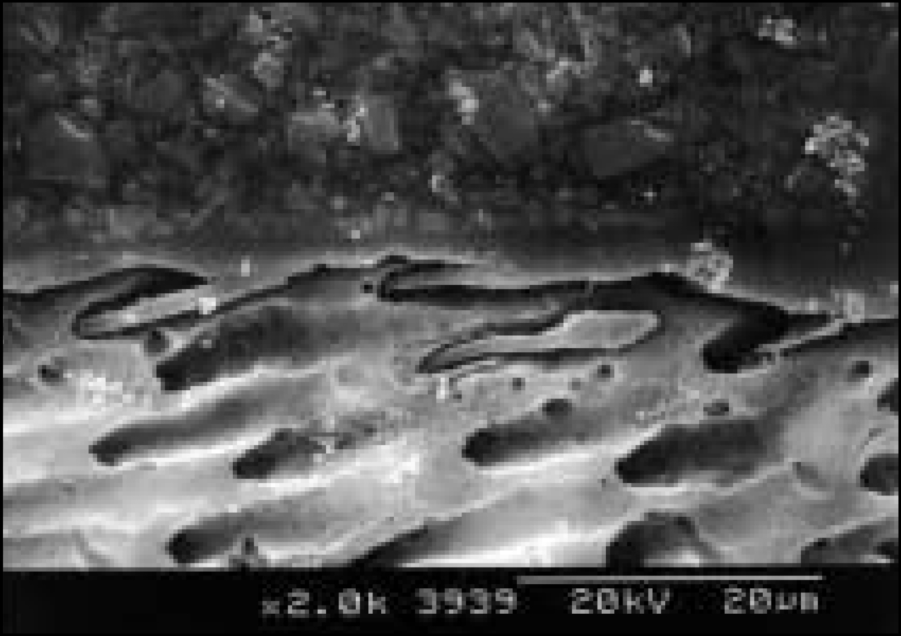 jkacd-29-1f8a.jpg