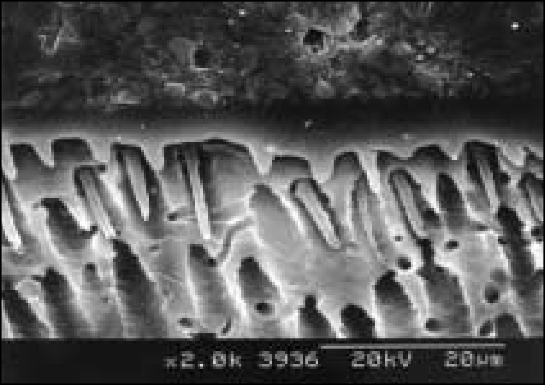 jkacd-29-1f8b.jpg