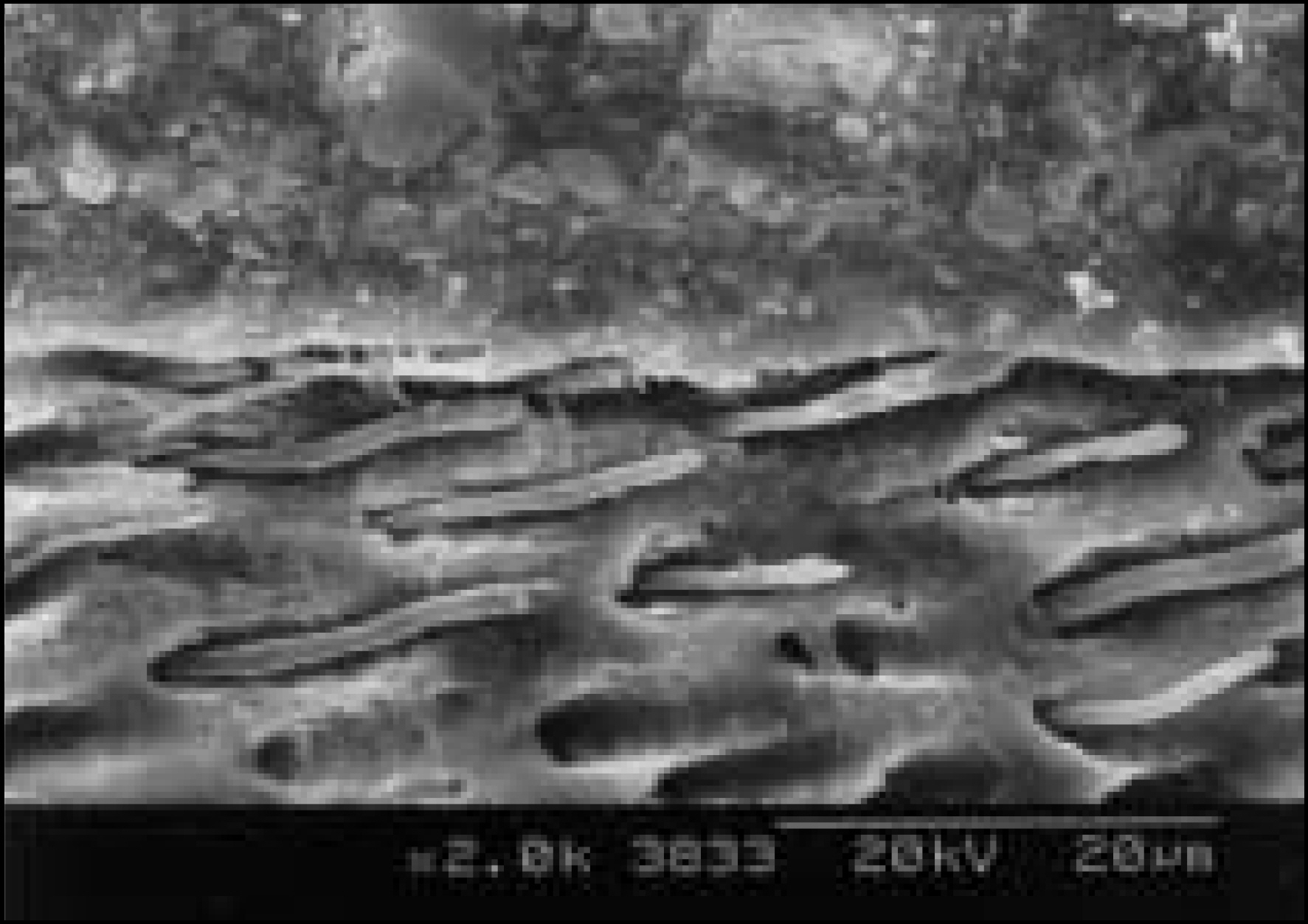 jkacd-29-1f9a.jpg