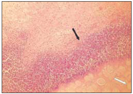 jkacd-29-23-g007.jpg