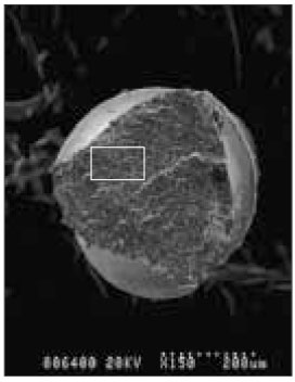 jkacd-29-267-g004.jpg