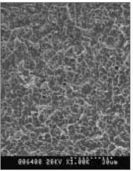 jkacd-29-267-g005.jpg