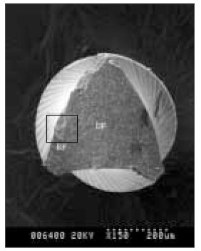 jkacd-29-267-g006.jpg