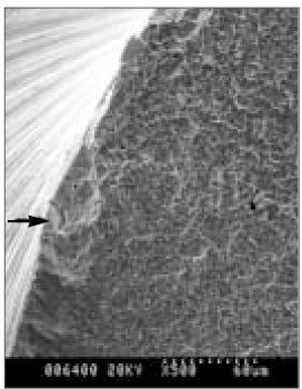 jkacd-29-267-g007.jpg