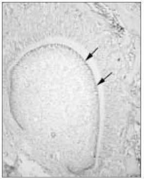 jkacd-29-399-g003.jpg