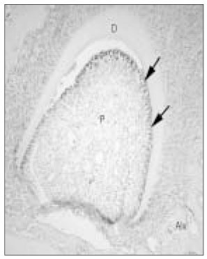 jkacd-29-399-g004.jpg