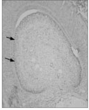 jkacd-29-399-g005.jpg