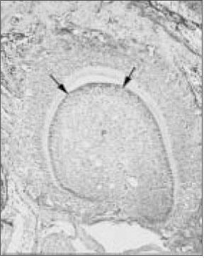 jkacd-29-399-g006.jpg