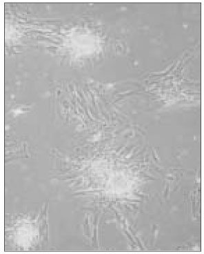 jkacd-29-399-g009.jpg