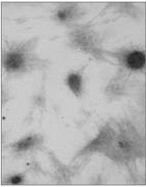 jkacd-29-399-g010.jpg