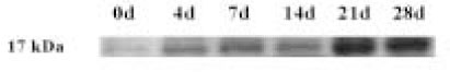 jkacd-29-399-g012.jpg