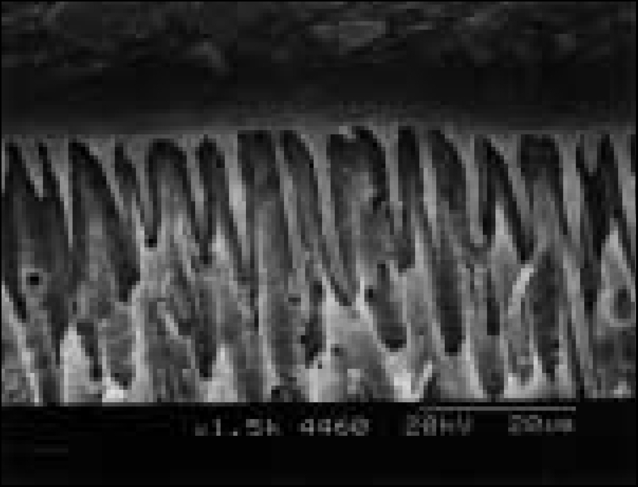 jkacd-30-283f8.jpg