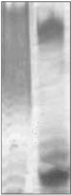 jkacd-30-372-g001.jpg
