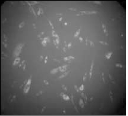 jkacd-30-372-g002.jpg