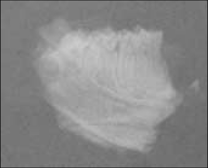 jkacd-30-402f2.jpg