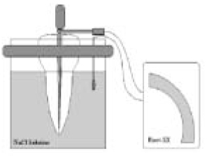 jkacd-30-477-g002.jpg