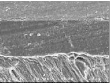 jkacd-30-49-g005.jpg