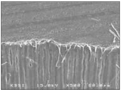 jkacd-30-49-g006.jpg