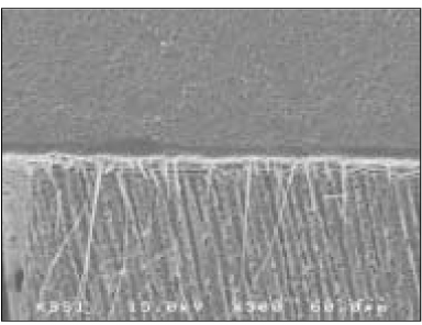 jkacd-30-49-g010.jpg