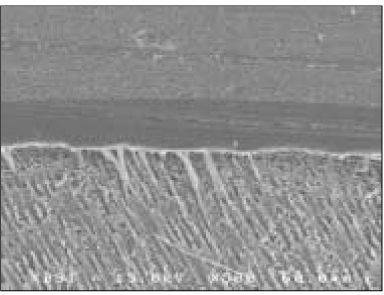 jkacd-30-49-g011.jpg