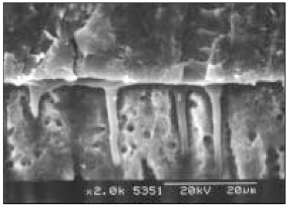 jkacd-30-493-g007.jpg