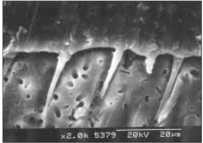 jkacd-30-493-g008.jpg