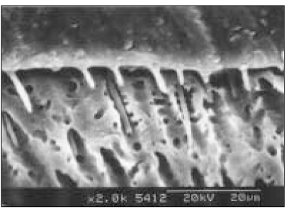 jkacd-30-493-g009.jpg