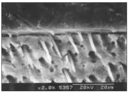 jkacd-30-493-g010.jpg