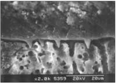 jkacd-30-493-g011.jpg