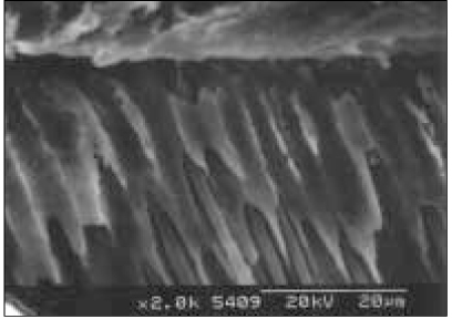 jkacd-30-493-g013.jpg