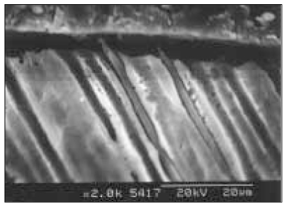 jkacd-30-493-g014.jpg