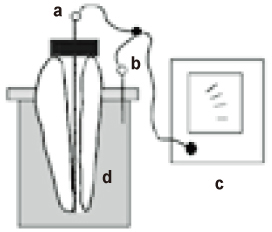 jkacd-31-371-g001.jpg