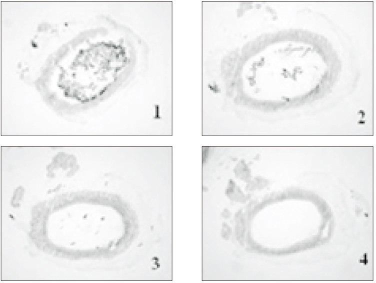 jkacd-31-398-g005.jpg